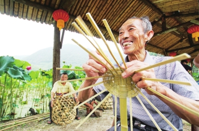 三明:深化林业改革 促进乡村振兴_最新林业信息