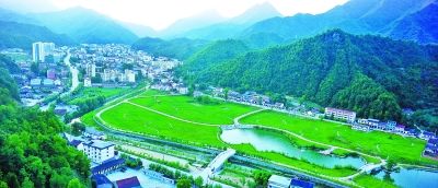 那山,那水,那宝_最新林业信息