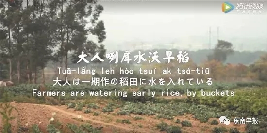 泉州神曲爆红!全世界圈粉!太好听了!