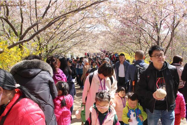 QQ截图20190409100121.jpg