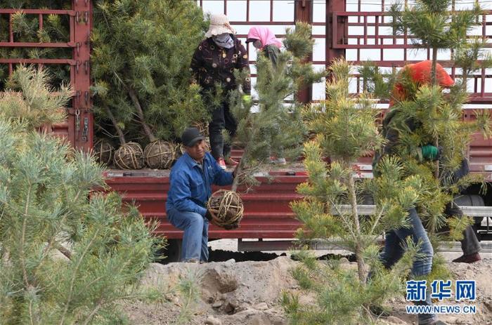 甘肃张掖:“一园三带”构建绿色生态屏障_最新林业信息