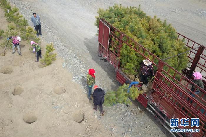 甘肃张掖:“一园三带”构建绿色生态屏障_最新林业信息
