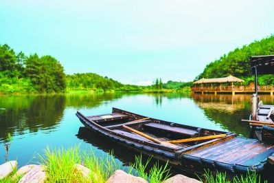 三洲湿地公园 林育荣 摄 三洲湿地公园 林育荣 摄
