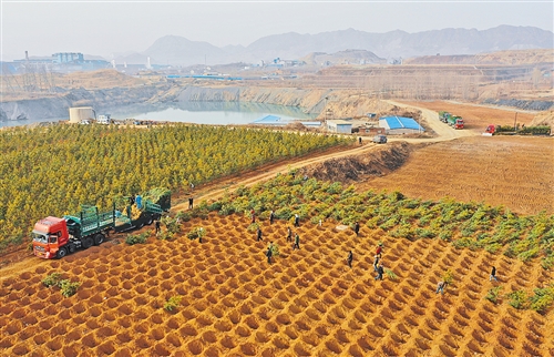 河北唐山:“工业疮疤”成生态绿地_最新林业信息
