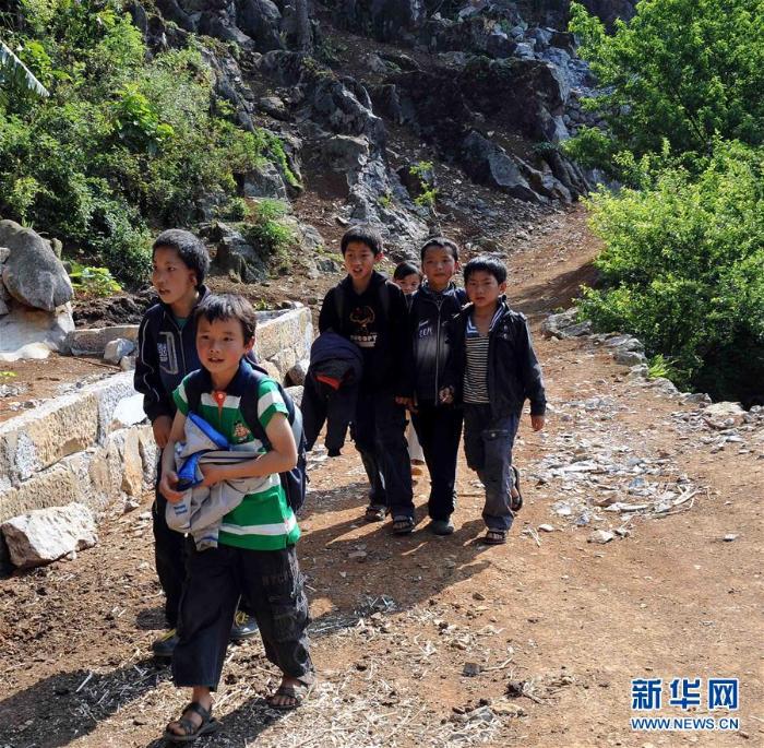 “石头地”里种出新希望——云南西畴县脱贫记_最新林业信息