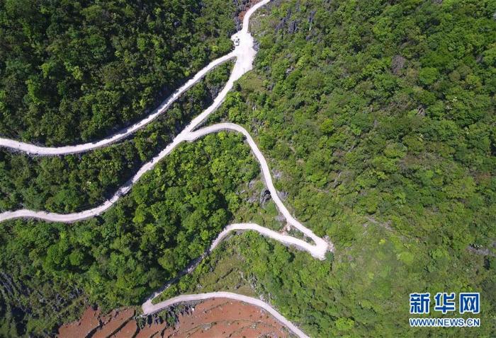 “石头地”里种出新希望——云南西畴县脱贫记_最新林业信息