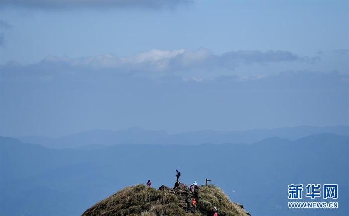 生态中国·山清水秀瞰宝岛_最新林业信息