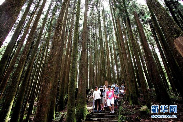 生态中国·山清水秀瞰宝岛_最新林业信息