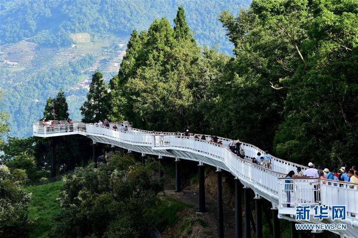 生态中国·山清水秀瞰宝岛_最新林业信息
