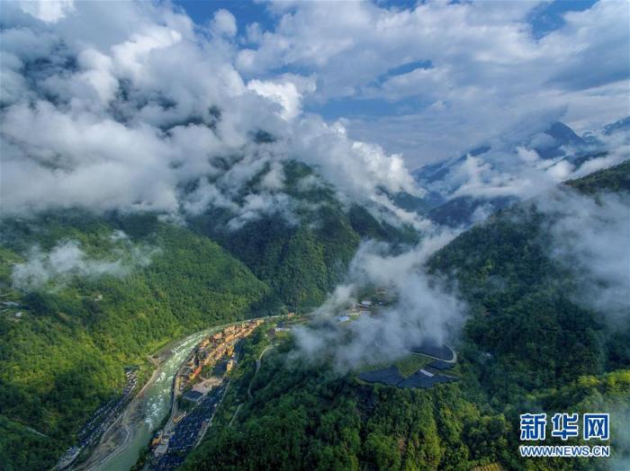 满目青山变成“绿色银行”_最新林业信息