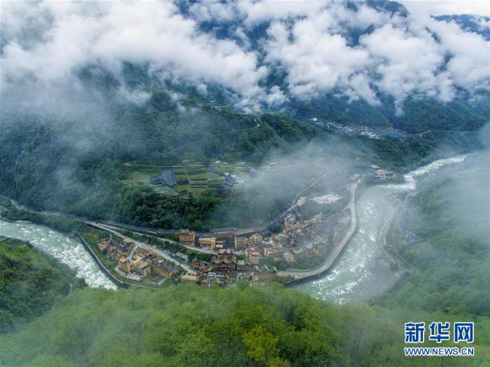 满目青山变成“绿色银行”_最新林业信息