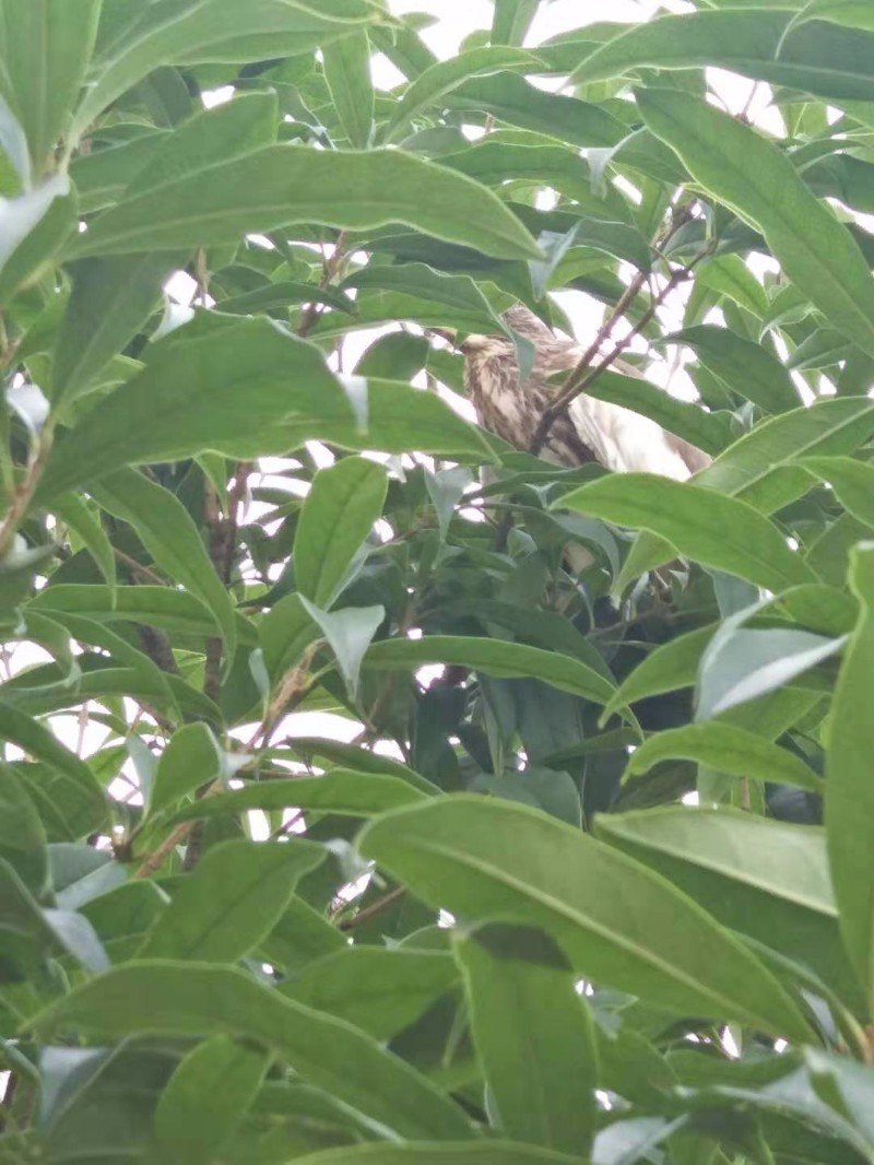 微信图片_20190722135700