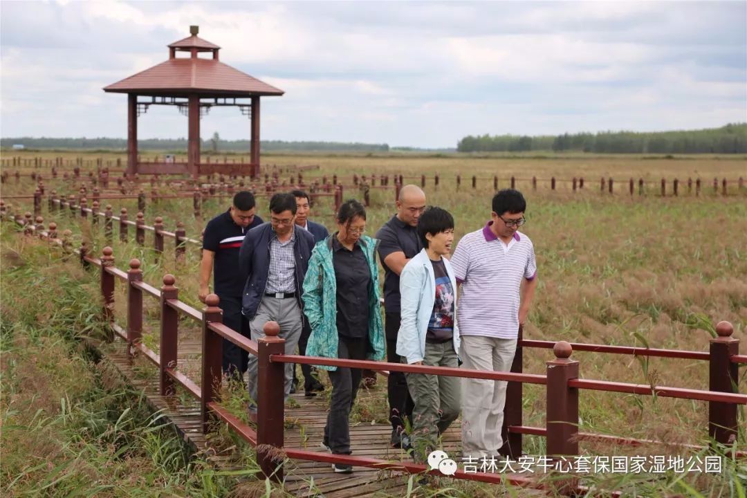 国家林业和草原局调研组到牛心套保国家湿地公园调研