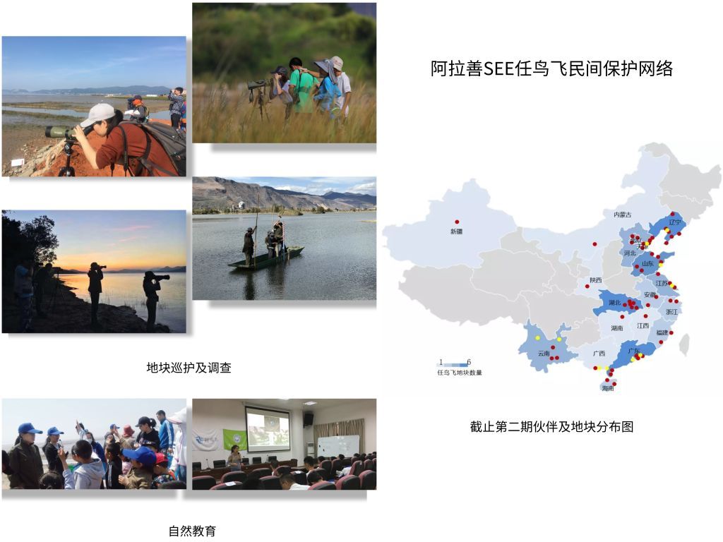 迎新!任鸟飞民间保护网络第三期项目正式启动