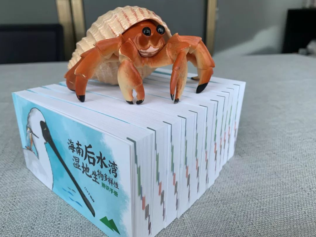 可能是最实用的辨识手册问世了