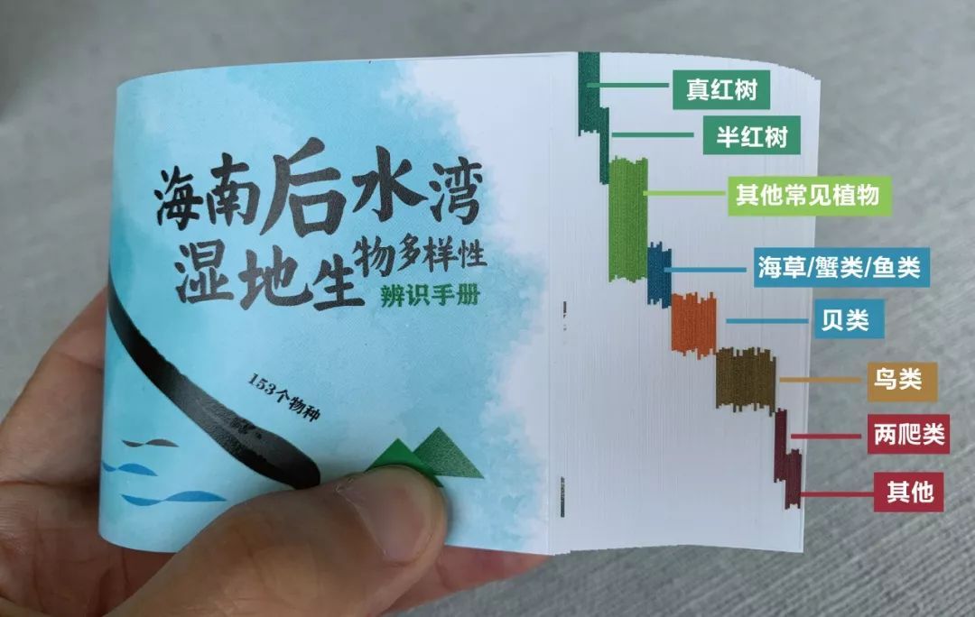可能是最实用的辨识手册问世了