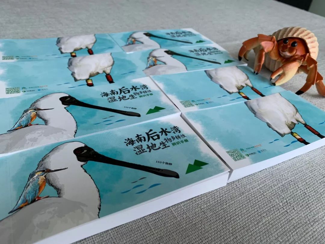 可能是最实用的辨识手册问世了