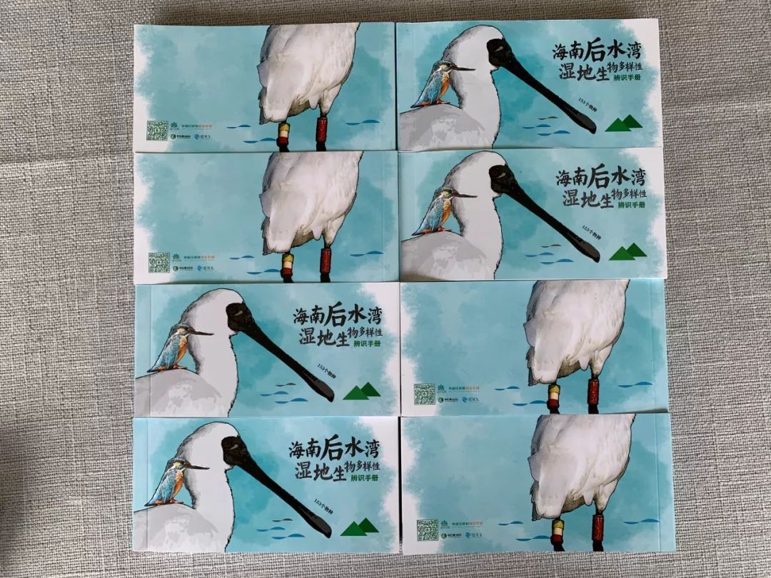 可能是最实用的辨识手册问世了