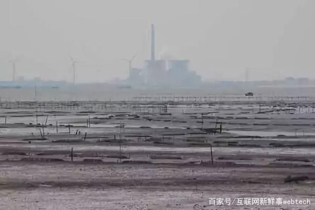 每少一块儿湿地,可能就有一种鸟儿消失