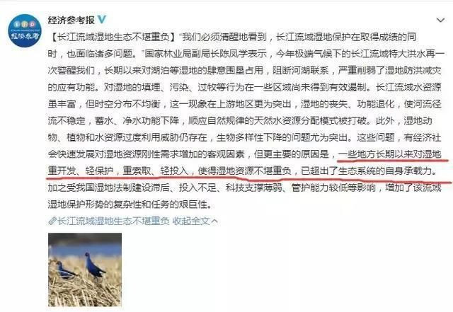 每少一块儿湿地,可能就有一种鸟儿消失