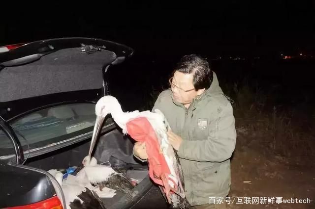 每少一块儿湿地,可能就有一种鸟儿消失