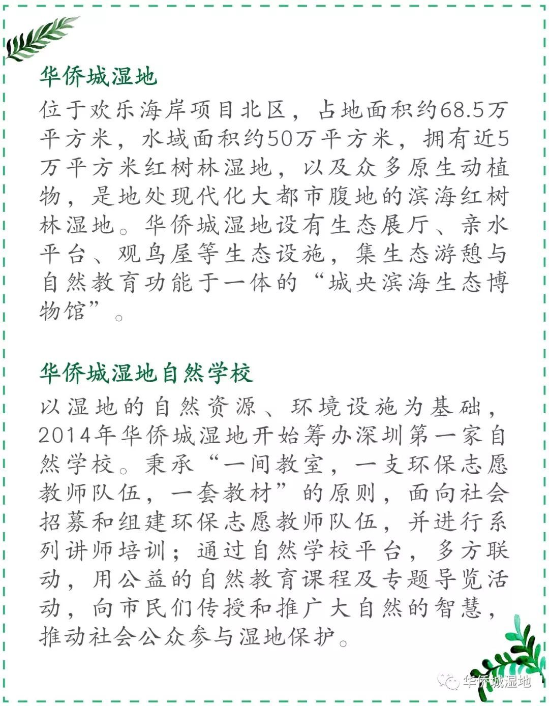 志愿者访谈 | 从种子到播撒种子的人