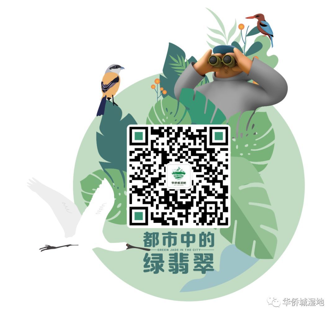 志愿者访谈 | 从种子到播撒种子的人