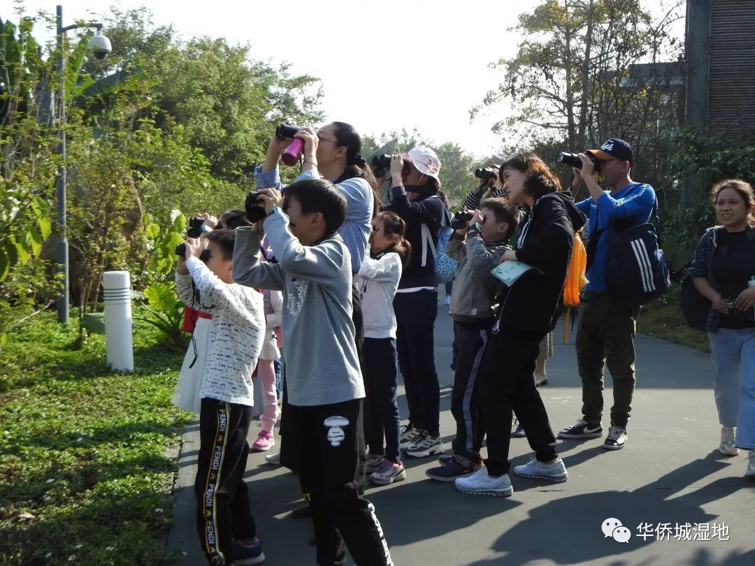 华侨城湿地活动一览