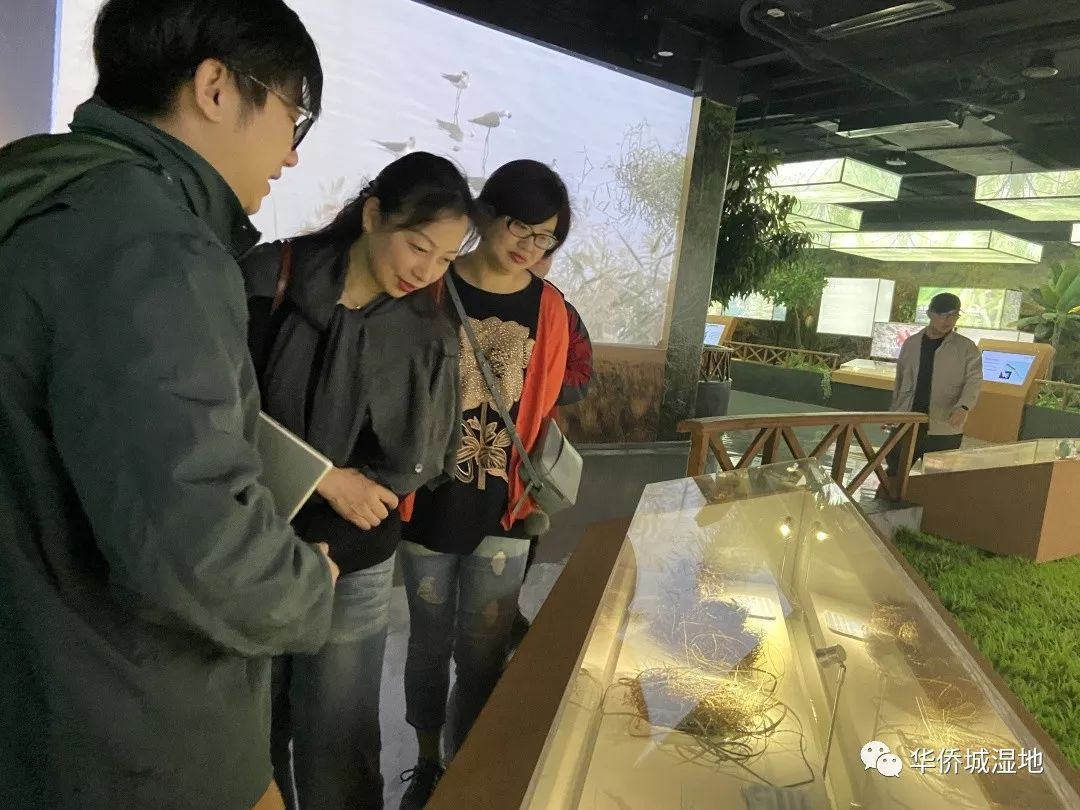 华侨城湿地活动一览