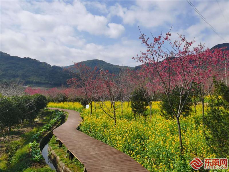 花开时节,追随春的脚步