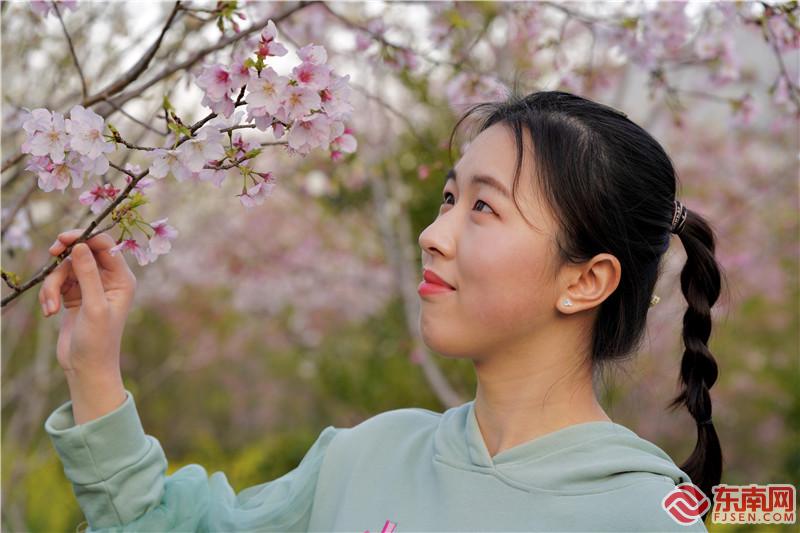 花开时节,追随春的脚步