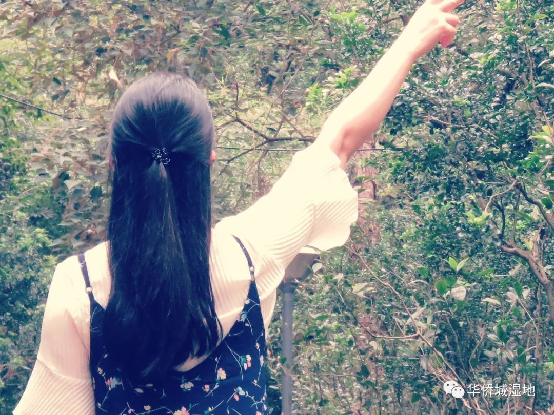 特殊访谈企划 | 向自由和幸福出发