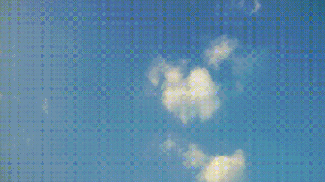 身边的自然 | 关心每一棵树、每一朵云